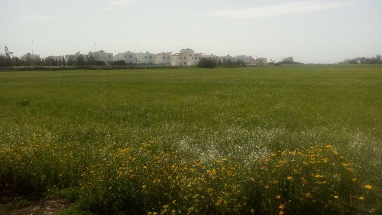 Mariliz Daire Larnaca Dış mekan fotoğraf